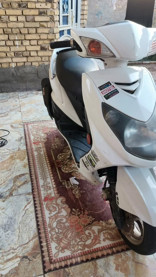 سكنس فحل للبيع مكاني فلكة الماجدية الاستفسار
***********
