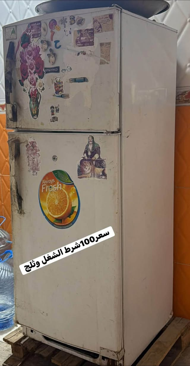 ‎مكانهن السماوه حي النفط *********** واتساب وتصال‎ بغداد, العراق

نص مكتوب في الصور:
- مكيفات ثنين نفس البصوره شغالات عل فحص سعر الواحد 150 الف
- سعر 75
- سعر100 شرط الشغل وثَلج