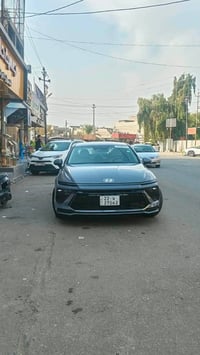 بدون صبغ • بدون تبديل • رقم اربيل