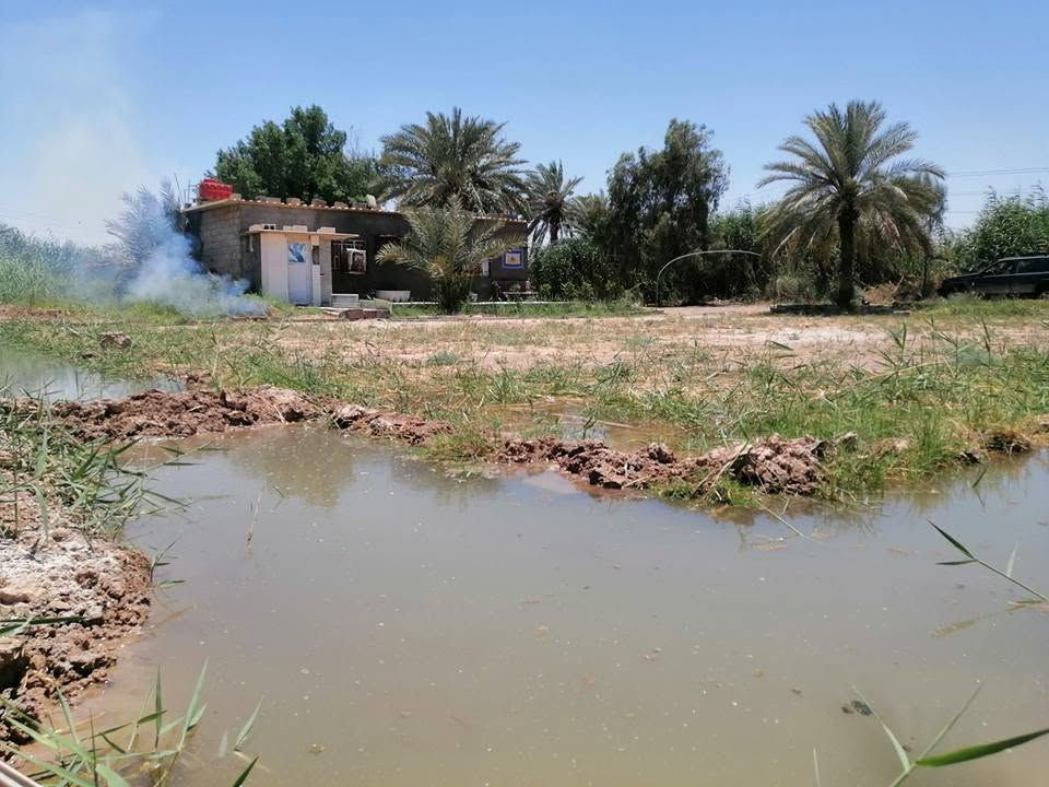 .. موقع مميز.. 5.. دونم سند 25 طابو تحويل مباشر سند جديد بأسمي وجه الأرض 100م ونزال 125م.. تحتوي على 68نخله تمر حمال مع دار سكن وحقل للمواشي مع كافة الخدمات.. ماء.. وكهرباء ونت..مع مشروع للسقي صب درجة أولى.. الأرض خصبة جدا وموقع مميز قرب قضاء العزيزيه مباشرتا...للمعلومات الاتصال.. *********** الصويرة, واسط
