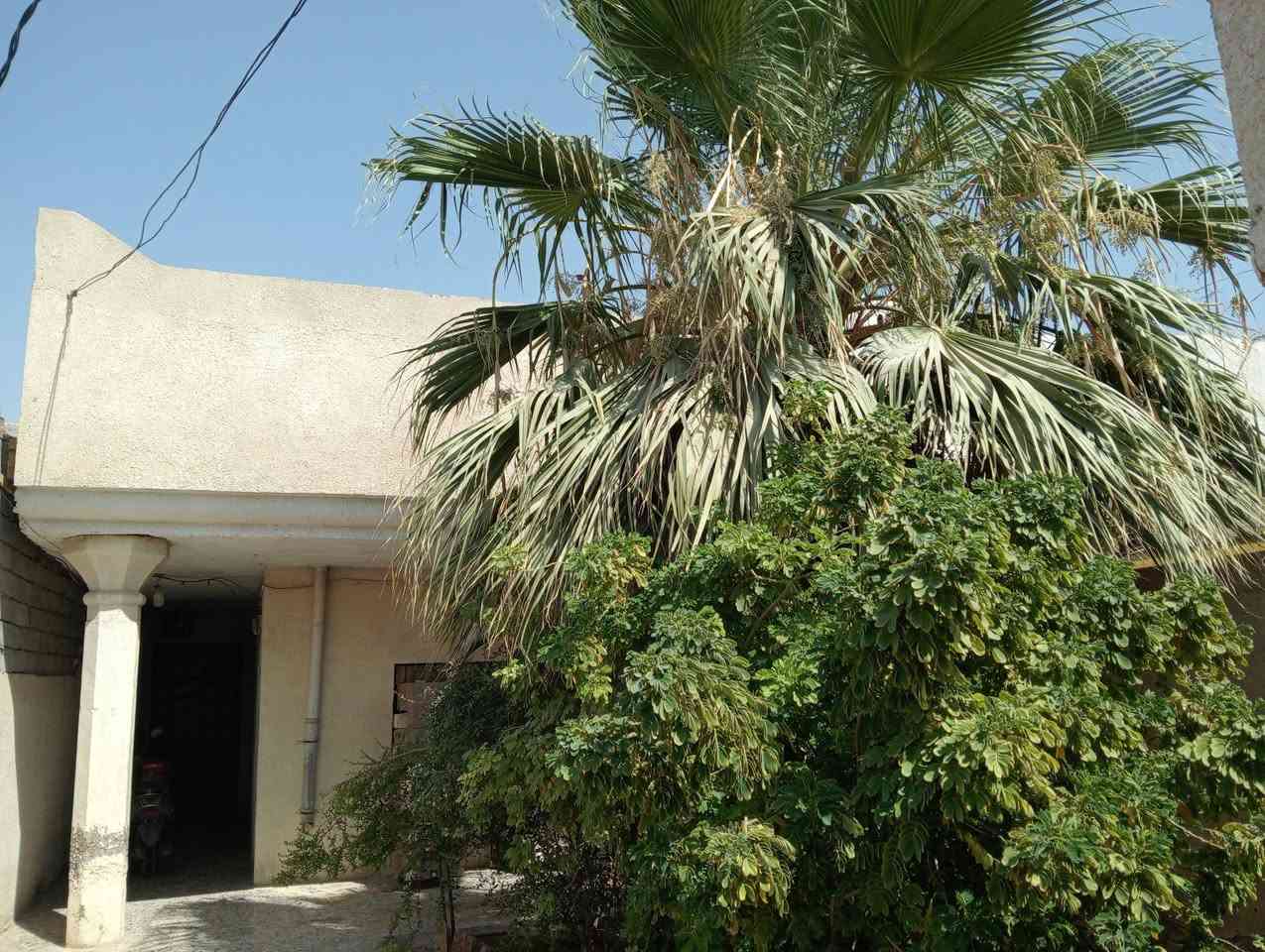 السلام عليكم بيت معروض للبيع مساحة البيت 250 متى يحتوي على 2 غرف نوم وصالة كبيرة وحمام ومطبخ والملحقات الأخرى العنوان حي الحكيم نزلة نزار القديمة قرب مدرسة الرميلة قريب على الشارع العام السعر 55 مليون للتواصل واتساب ***********
