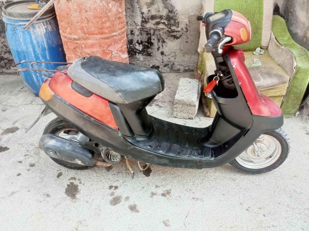 بطة • ٢٠٠٣ • مكفوله