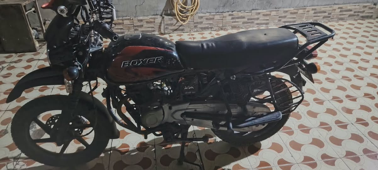 بوكسر • ٢٠٢٣ • رقم وسنوية