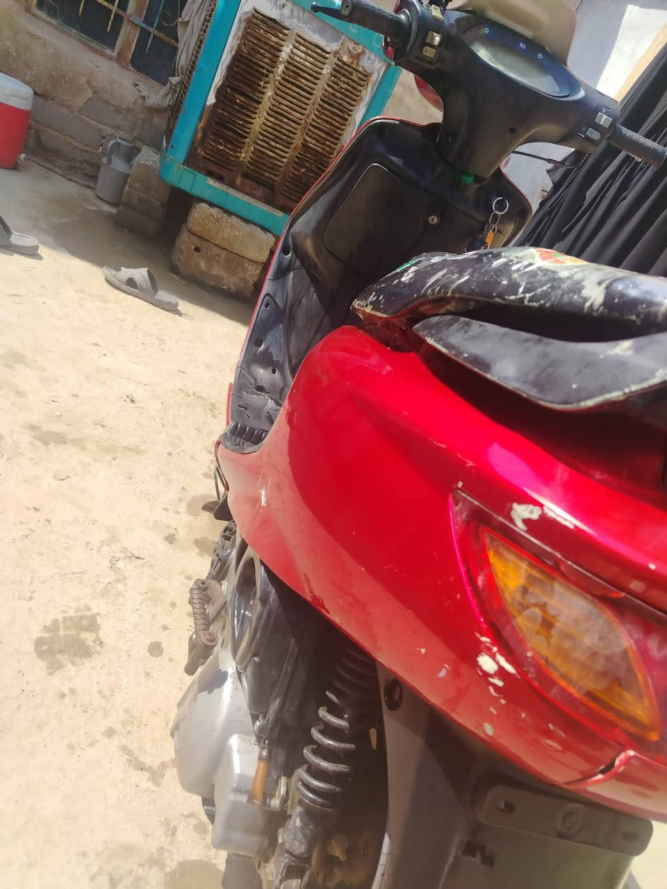 فراشة فحل • نضيفه • مجال مفتوح