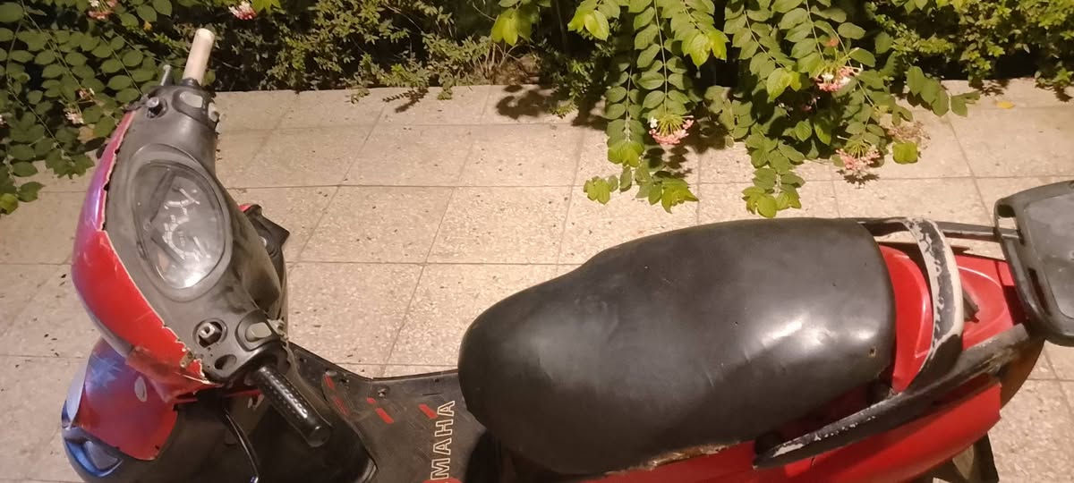 ماكس ثعلب • ١٤٠ • نضيفة