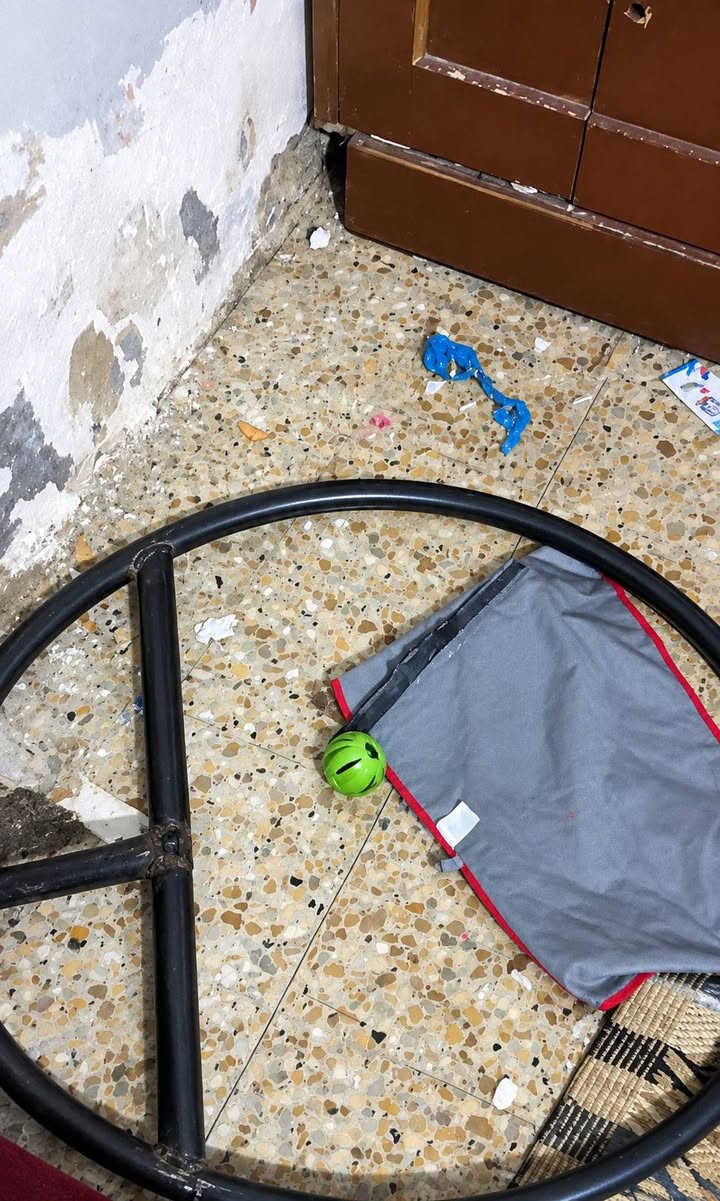 مرجوحه للبيع بيها قاعده مكسوره يرادلها لحيم فقط لحمتها ونكسرت حداد تعبان حديد ثكيل كلش  الأولي رايدها ب50 الف وبيها مجال حك جيه *********** واذا تريد بله قاعده ارضيه متلحمها تشكل بسقف صير 
حسينيه عنواني
