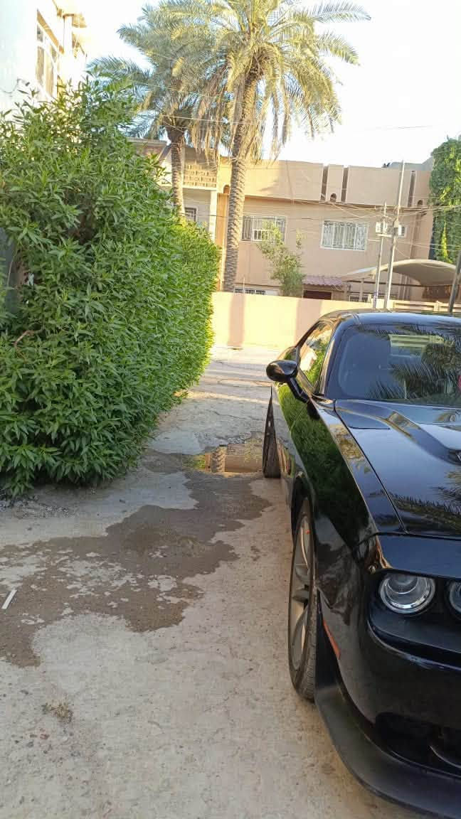 سلام عليكم 
جالنجر  لون اسود sxt 6
موديل 2017
ماشيه 163 الف كيلو 
كير مكينه اكسل خير من الله 
حدثه جاملغ بنيد وبيه كم طخه ومصبوغات علمود ماتعبك بيع حزام 
سياره عليه  برمجه مصطفى ايكل ودبات تحكم ريموت صوت كلش حلو 
تيرات جديد 2سايز  
تبريد كلش زين 
عليه ادامه كامله غرفه لحتراق ومنضومه ماء 
صدر خلفي امامي جديد 
داخل جلد اسود شاشه كبيره كامره خلفيه سياره فول عده فتحه 
مسويله بوليش ونانو سيراميك قبل فتره 
سعر /125ورقه 
تجي وشوف احلا من صور 
سياره مامتعوبه يديي بيه كلش 
عنوان /بغداد المنصور 
***********

