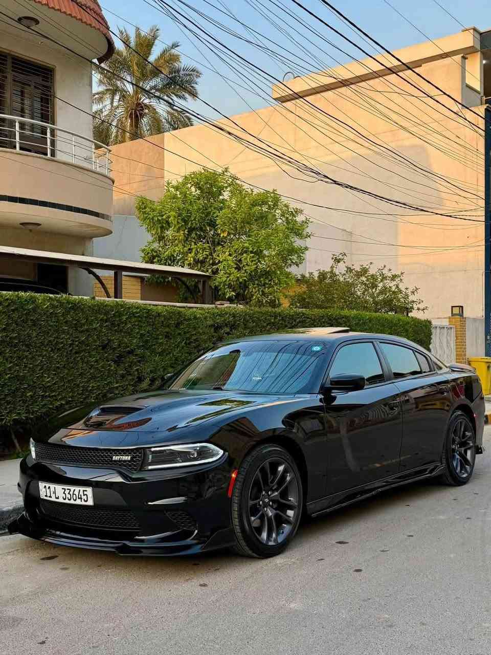 السلام عليكم
ارتي دايتونا DAYTONA R/T 2023
نداء الاخير
المحرك : 5.7L V8
الحالة : تبديل جاملغ نفس اللون بدون دواخل ايرباك طاك
العداد : 38 الاف ميل
DAYTONA 1/1 : مواصفات
فول سلايت
اكسل قفل SRT 3.9
لايتات زينون بلاد
رادارات جانبية
كشنات كنتارا كهرباء
كشنات ميموري خزن
شوتة رياضية بلاد مال دايتونا
كشنات تدفئة + تبريد + ستيرن هيتر
شفتات ستيرن
شاشه كبير + حساسات وكاميرا
السيارة كلها مختمة
دايتونا
السيارة جديدة جدا واحلى من الصور واي نقص مابيها من كل النواحي حتى الصدر جديد تخم دبلات جديده
بانزين كله سوبر 
ويل روهانا الجديد
السياره كلشي بيها بلادي
مكان السيارة (( بغداد ))
رقم بغداد الجديد باسمي
السعر 280 
***********
