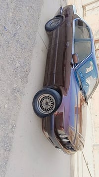 كرزي • ١٩٩١ • رقم اربيل