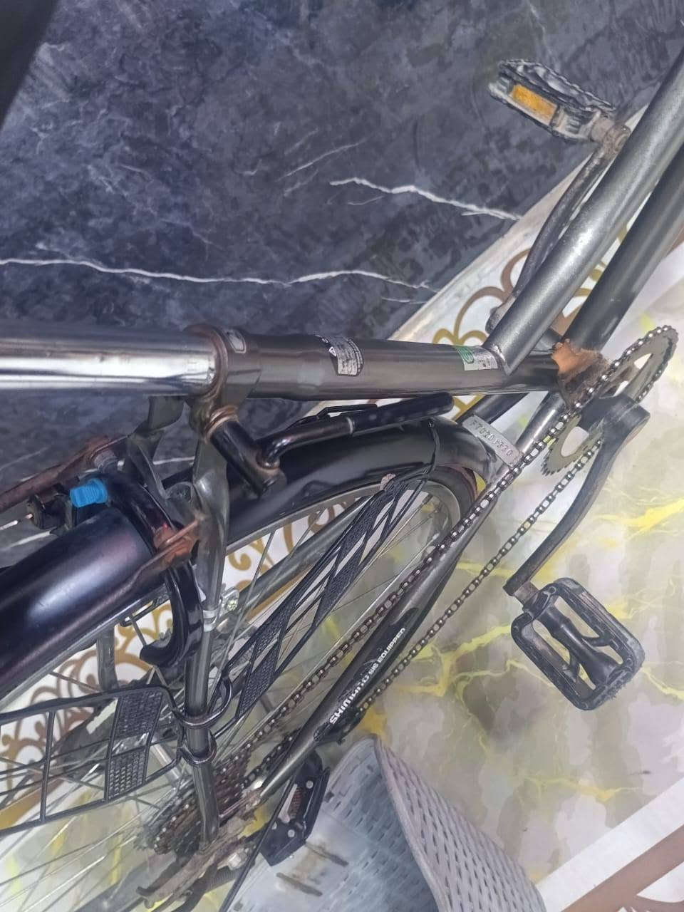 🚲🔥 للبيع باسيكل بناتي حجم 27 🔥🚲
✨ شكله كلش حلو وأنيق

🩶 اللون: رصاصي (فيلي)

📏 الحجم: 27

👌 مرتب وحلو للمشاوير اليومية والطلعات.

البايسيكل مرتب وحلو بالحقيقة أكثر من الصورة✨

💰السعر قابل للتفاوض90الف

📩التواصل على الواتساب ***********

