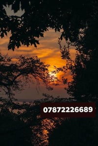 متوفر دونم وجه 55 في منطقه اليوسفيه مقاطعه بير الحمام شارع الثاني خدما...
