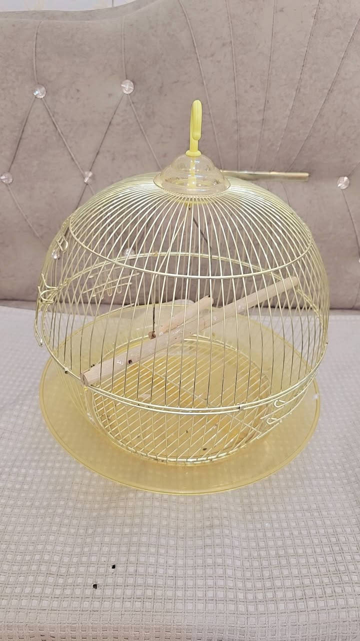 السلام عليكم قفص مال كناري استخدام شي قليل امانه الله ورسوله اي ضرر مابي
بغداد الحرية / ***********/ السعر 15 وبي مجال
