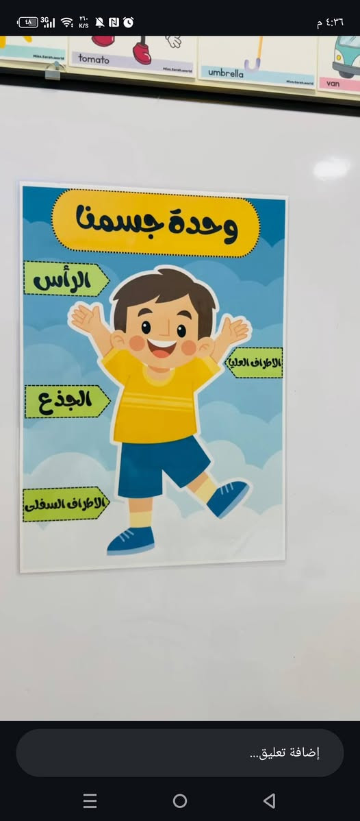 وسائل تعليمية • كبس حراري • Miss Sarah World