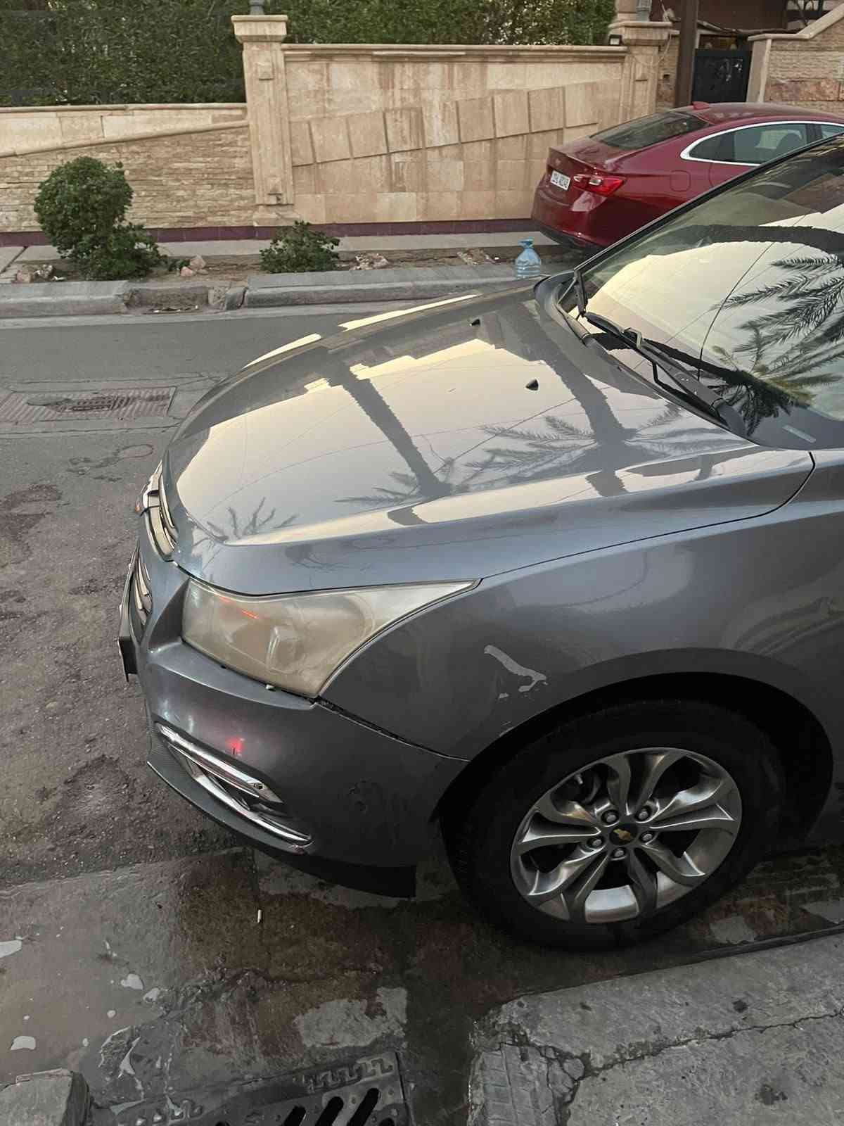 كروز • ٢٠١٦ • رقم سليمانيه