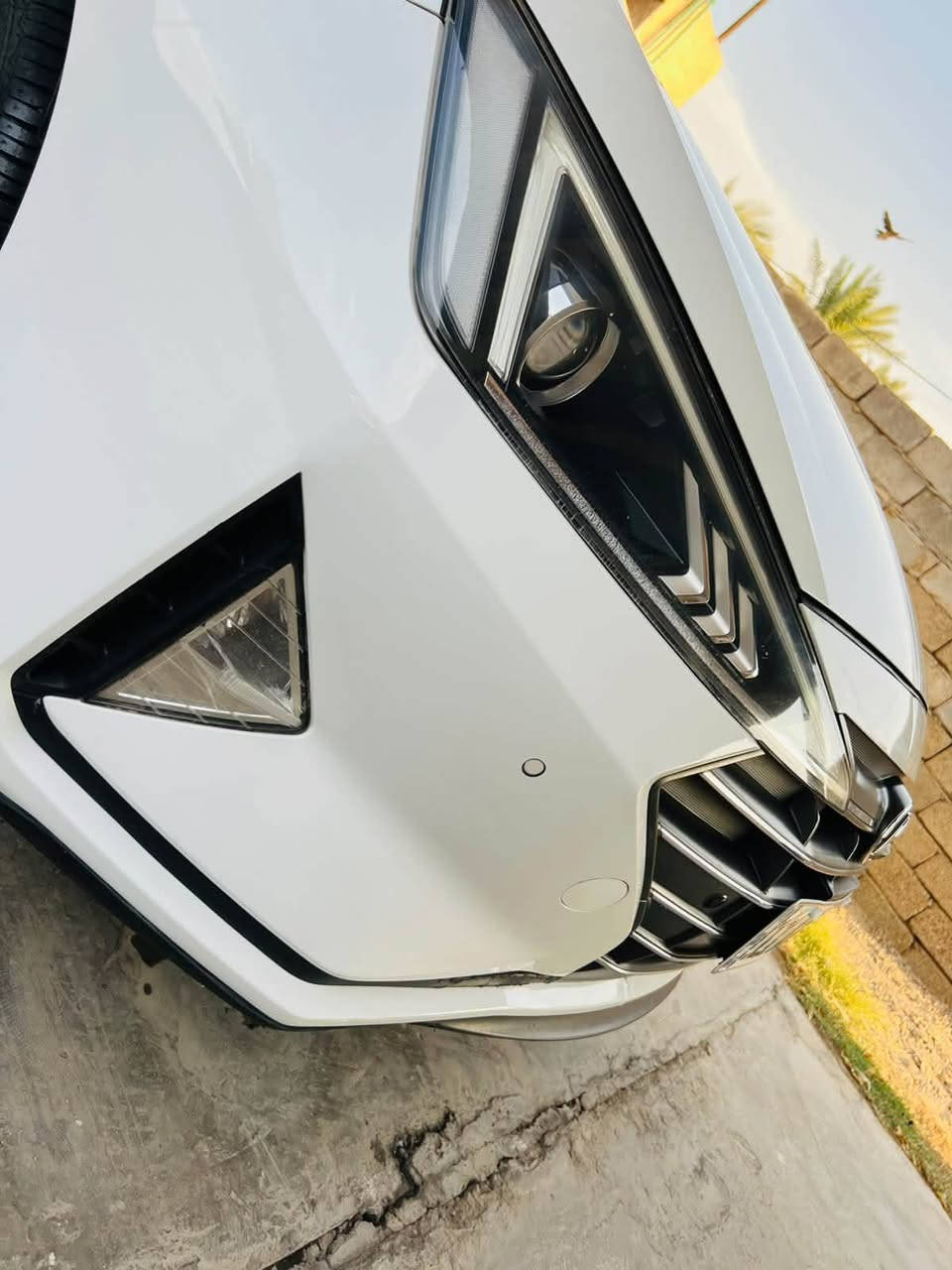 يااللة سلام عليكم
النتراء خليجي القاصد موديل 2020 مكفولة كفالة عامة مطلقة من كلشي 
من صبغ وتبديل وضربة وبارد وتحكيل سيارة جديد جدآ ماشية 67 كلشي بيها بلادي وضع شركة مكينة 2000 دوش كفالة كير ومحرك وكشر تجي فول فول موصفات واحد ع واحد سيارة أحلى من صور بهواي بلادية

إلاستفسار علق تم يجيك سعر خاص
أو اتصل بل رقم
***********
***********
العنوان بغداد: الدورة
