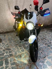 دايون • ترايك • ٢٠٢٥