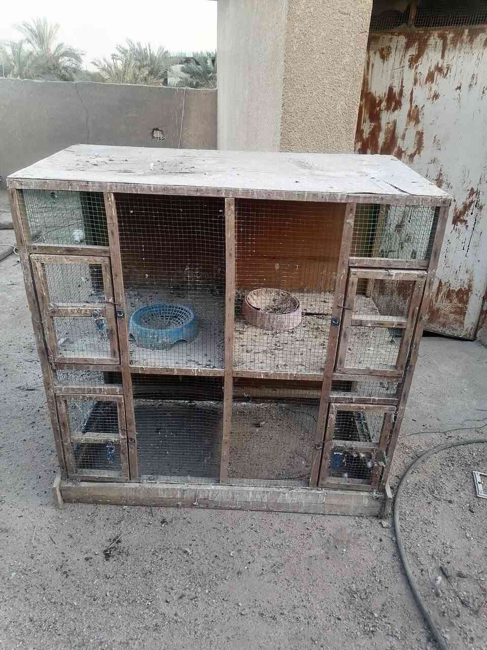 من رخصة صاحب الكروب ♥️ شباب اقفاص حلوة وقوية عددهن ٦ اقفاص كل قفص يحتوي اربع خانات جالي مالهن قوي ابيع شلعة الشراي يراسلني ويشلع عيوني عنواني بصرة ابو الخصيب والشراي انطيه هدية وياهن دباب مال ماي ومال حنطة ومقاعد مال بيض ذن هدايا رقمي ***********  سعرهن كلهن 225 اللة شاهد روح شوف الأسعار وتعال قفص مال بلبول ب50 الف وذن عددهن 6 وكبار ومن رخصة الادمن ♥️
