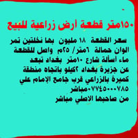 كميرة بالزراعي • ١٥٠م • نخلتين