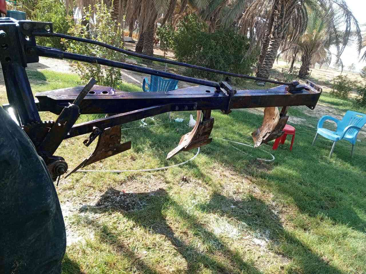 فيدان سويدي حجم 16 رباعي للبيع سعر مناسب مكاني بابل للاستفسار ***********
