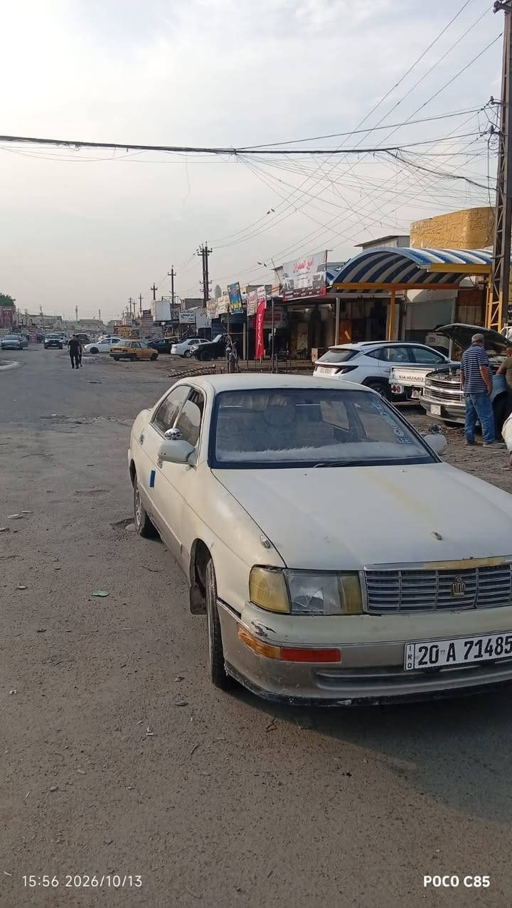 بطه • ابيض لؤلؤي • بغداد البياع