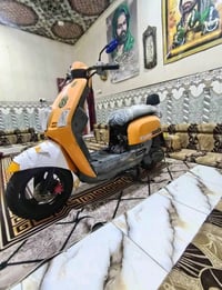بوليسي • بوشه55 • كهربايات شغاله
