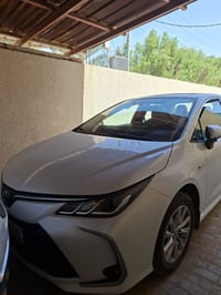 كورلا هايبرد • ٢٠٢٤ • رقم بصره