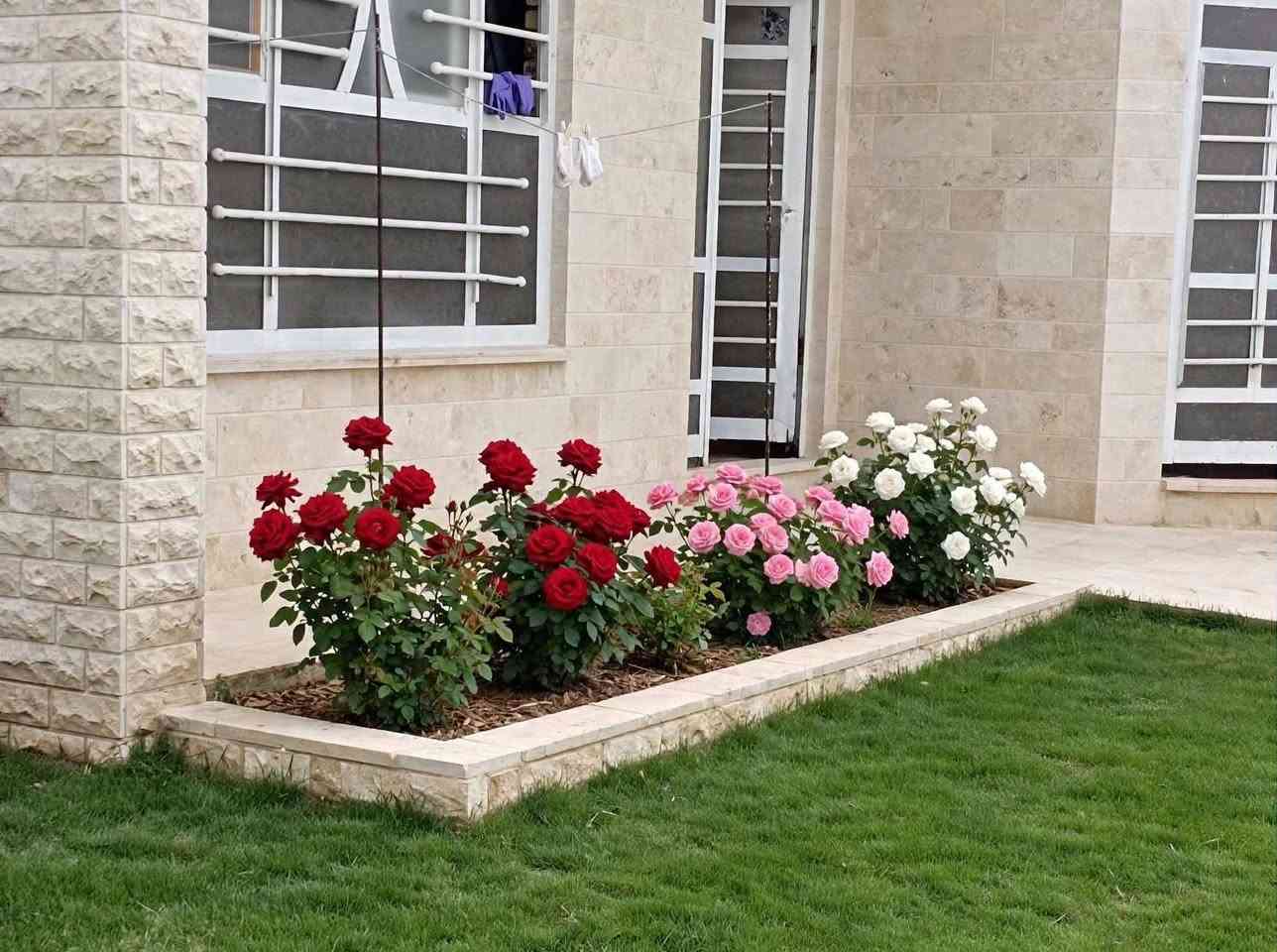 يا الله سلام عليكم يتوفر دار سكن للبيع مساحة 270متر ملك صرف زراعي حق التصرف موقع مميز قرب أثار بابل بناء حديث ديكورات مغربيه حديقه جانبيه بيت متعوب عليه سعر 170مليون الي يحب يتواصل مسنجر حلة, بابل
