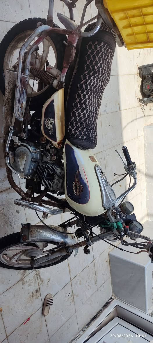 سلام عليكم جوندة كلك للبيع دراجة محرك نضيف كهربائيات شغالة تايرات جدد السعر 350 مكان شنافية الشراي يراسل خاص
وهذا رقمي ***********
سلام عليكم جوندة كلك للبيع دراجة محرك نضيف كهربائيات شغالة تايرات جدد السعر 350 مكان شنافية الشراي يراسل خاص
