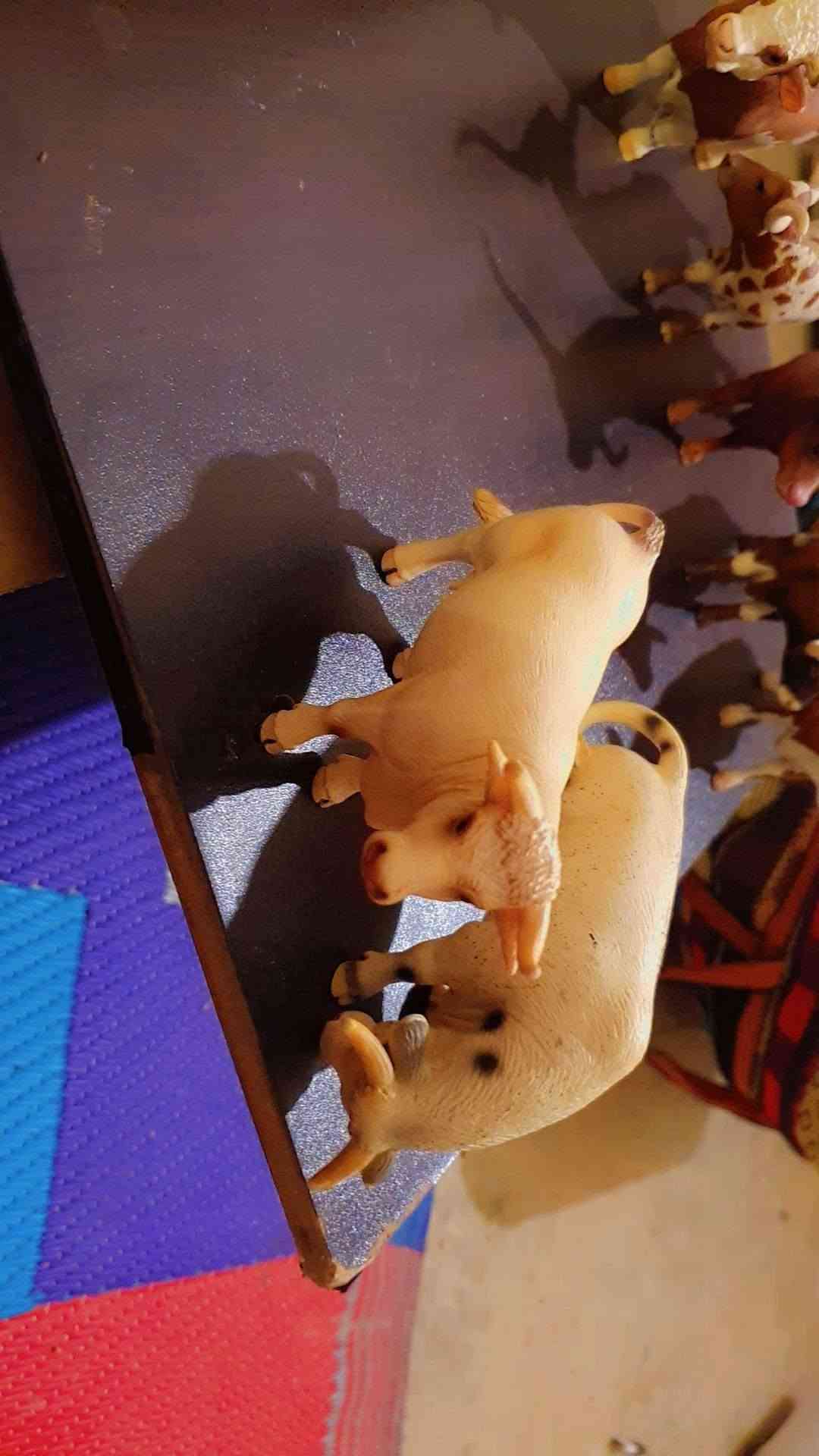 للبيع مجموعه كامله

