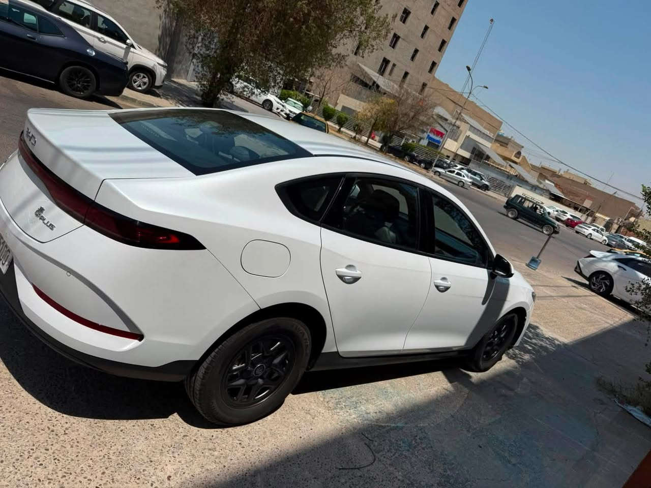 بي واي دي كن بلاس 2025
مكفوله كفاله عامه 
عدا بارد بل هلال مال الجاملغ 
مصلح بلادي 
ماشيه 16 الف
رقم بابل 
وين ما تريد احولك
السعر 18200 
الرقم***********
المكان بغداد السيديه الخيزران
