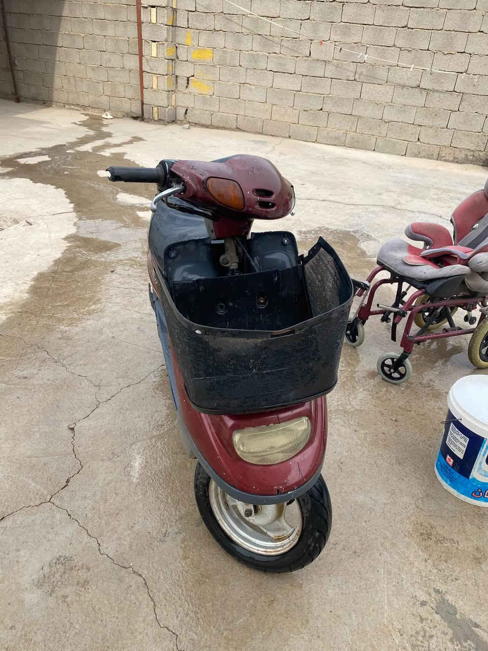 منغولي • نضافه • فول