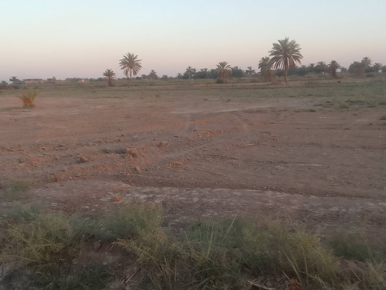 السلام عليكم  ارض  للببع طابوزراعي سند٢٥ تحويل مباشر خلف جامعة بابل خدمات كامله الاست فسار على الارقام ***********ووو***********
