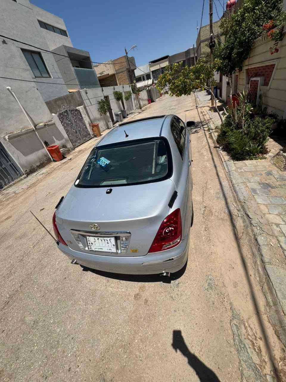 ماجسته • فول • رقم بغداد