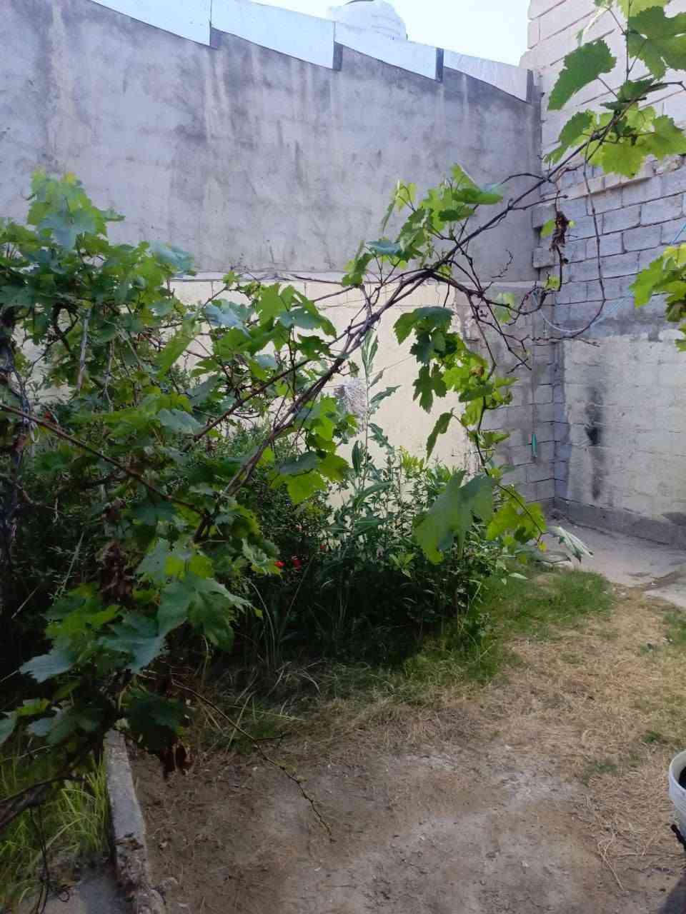 السلام عليكم
دار للبيع مساحه 100متر أساس تجعيب بناءً بلوك السكف عكاده يحتوي على غرفه وصاله ومطبخ صحيات داخليه  السعر( 18)مليون وبي مجال 

العنوان :النجف الاشرف/ شارع المعمل/ فرع صيدليه الخنساء

للاستفسار مكتب المهندس

***********

***********
