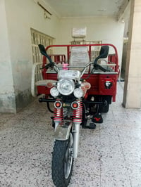 ستوته ام الطير • فحل • ٢٠٢٣