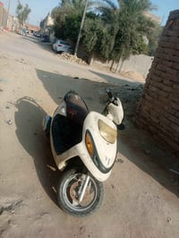 دولفين • نظيفه • مامفتوحه