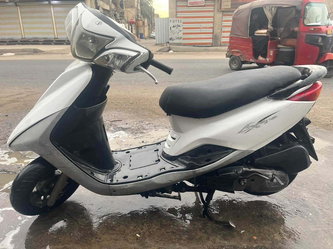 بغبغاء • جديده • مدينه الصدر