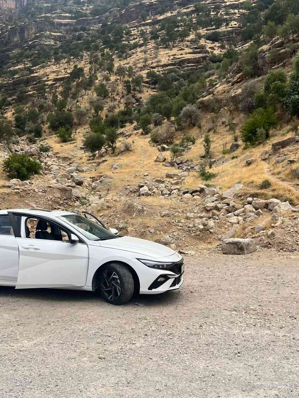 النترا • ٢٠٢٤ • رقم اربيل