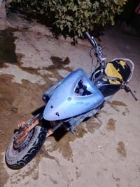 منغولي • ٤٩ • بلاديه