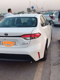 كورلا • ٢٠٢٤ • وارد امريكي