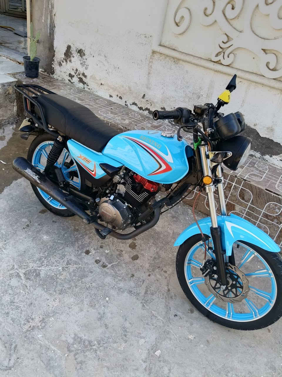 شاينك • ٢٠٢٣ • جديده