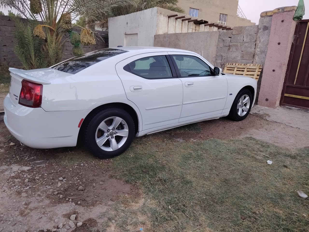 سلام عليكم جارجر كفاله عامه كيلن سونارهه كدام عينك دواخل أسود بلاد سدرجديد تبريد ثلاجه وعلي تخم تاير جديد راقم نكليزي سياره بسمي سنويه ل٢٨وعشرين جاهزه علااخر حبايه لعنوان واسط قضاء الحي قرب سعيدابن الجبير الستفسار***********🌹
