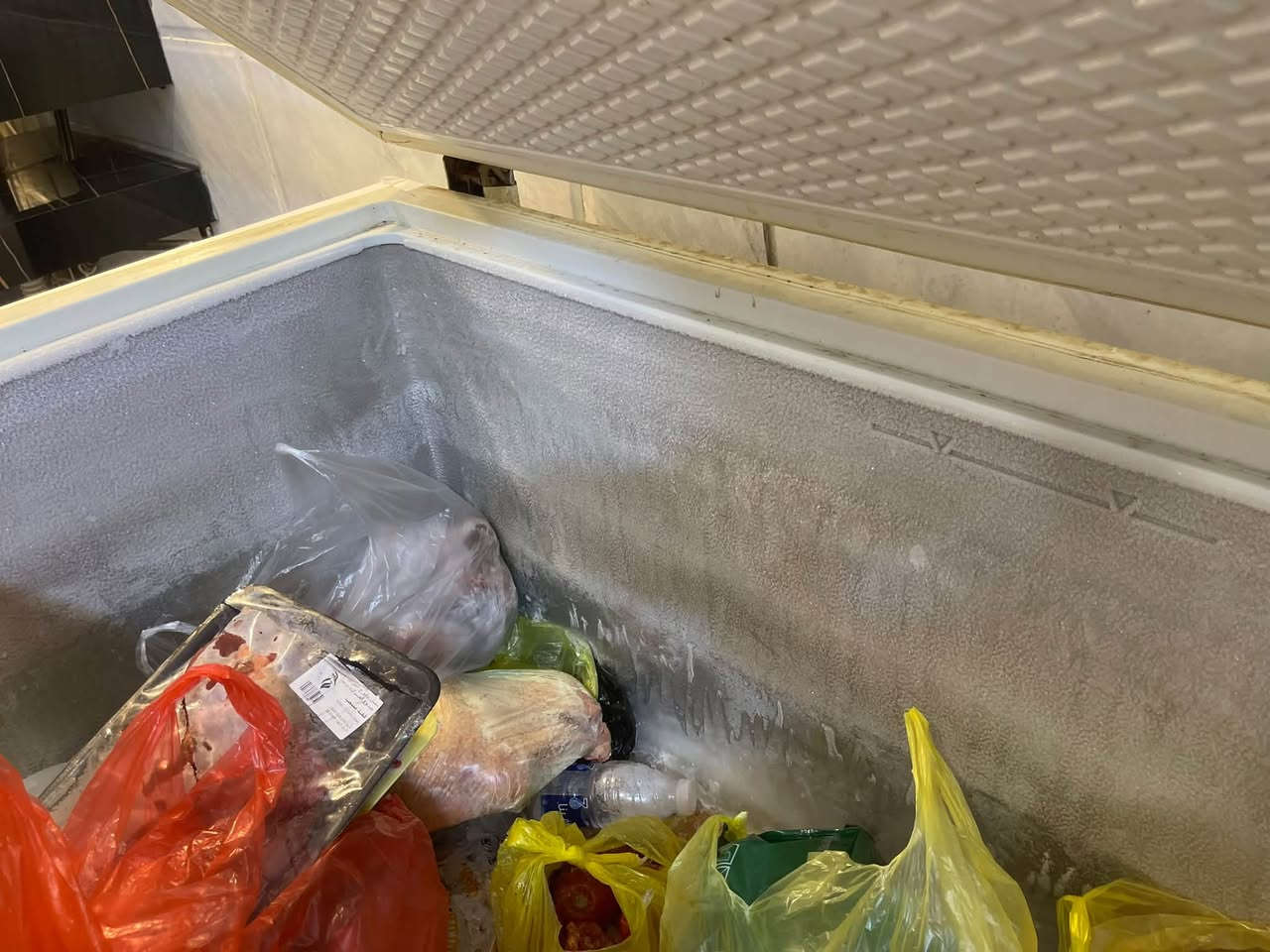 مجمدة • حجم كبير • فول تجميد