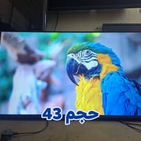 بلازما • سمارت • ٥٥ و٤٣ بوصة