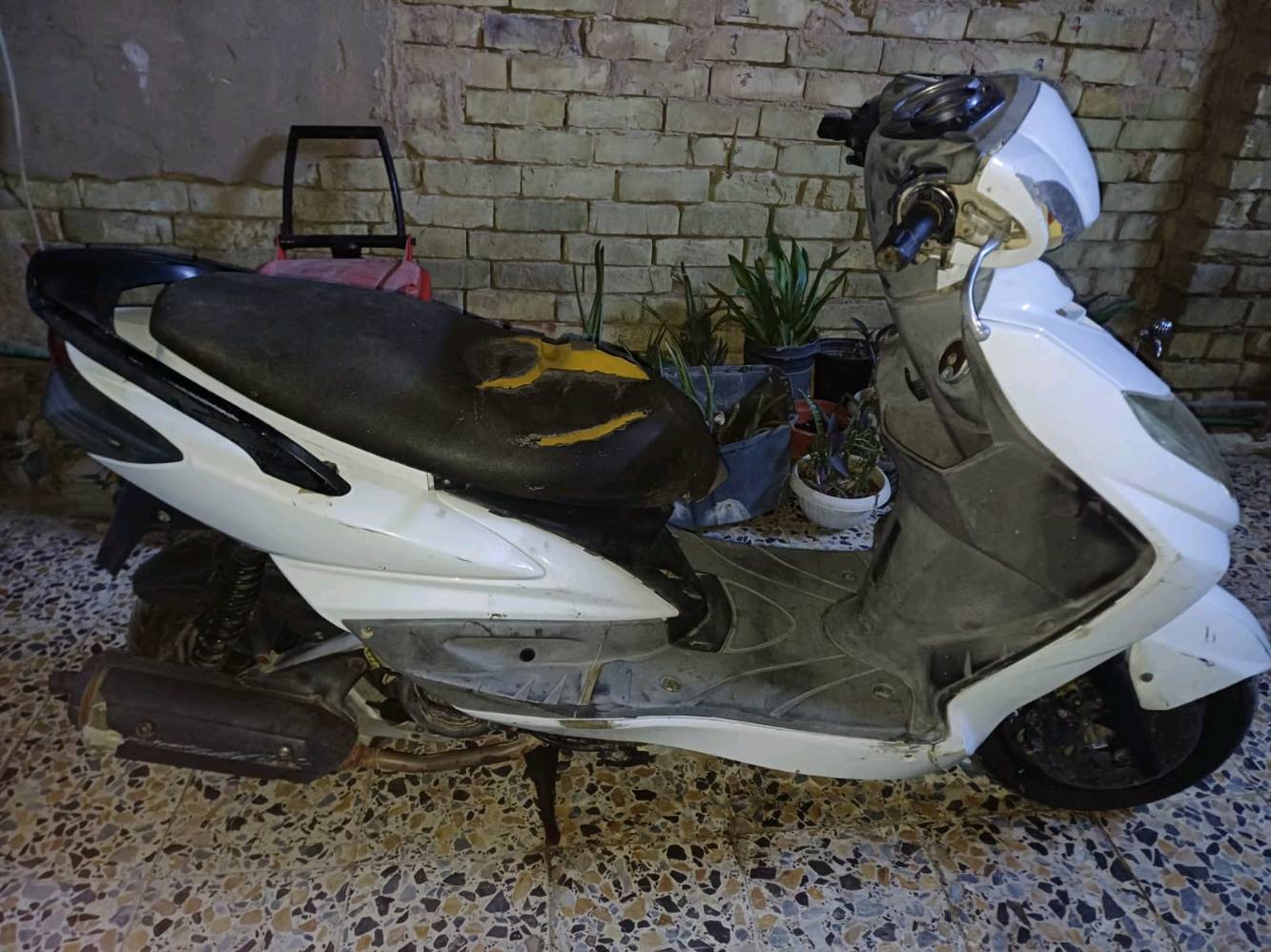 دراجه سكنس فحل نوزل سعرها 400
وين موقعك بالضبط حتى اللي يريد يجي يشوفها؟: 
الشعله
الدراجة شغالة تمام لو بيها أي عطل بالمكينة/السلف/الكهرباء؟: 
شغاله
شلون حالة الممشى والإطارات والبطارية؟: 
جيده 
السعر 400 ثابت لو بيه مجال تفاوض؟: 
بيها مجال