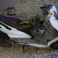 سكنس فحل • نوزل • شغاله