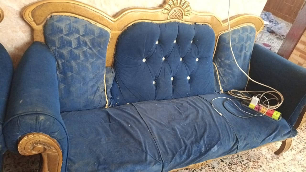 تخم للبيع كربلاء
***********
