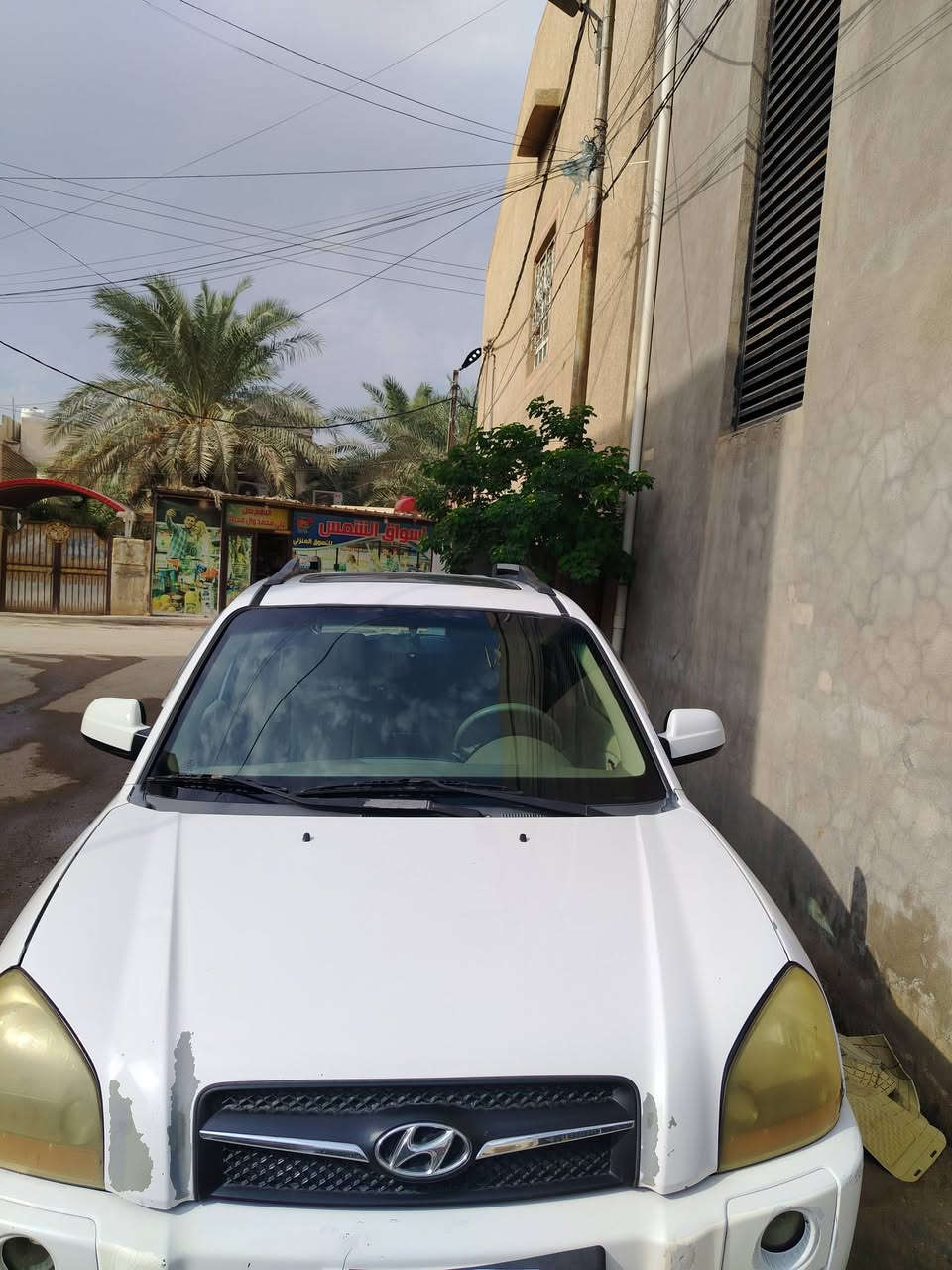 توسان • ٢٠٠٩ • رقم بابل