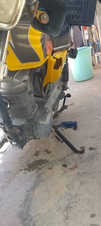 سكنس • اوراق ضايعه • اربعه كير