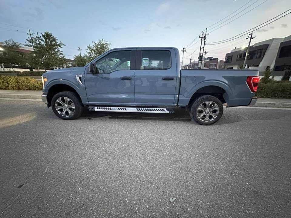 F150 • ٢٠٢٣ • مصدوم مصبوغ